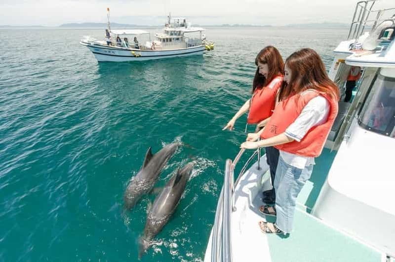 Billet Mascate : Observation des dauphins et plongée en apnée