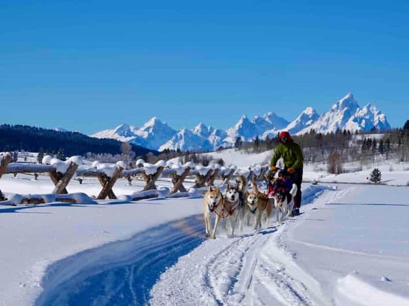 Billet Jackson Hole : excursion en traîneau à chiens avec chocolat chaud