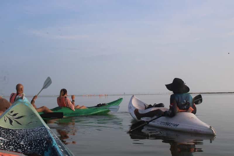 Billet Holbox : excursion guidée en kayak au lever ou au coucher du soleil dans la réserve de mangroves