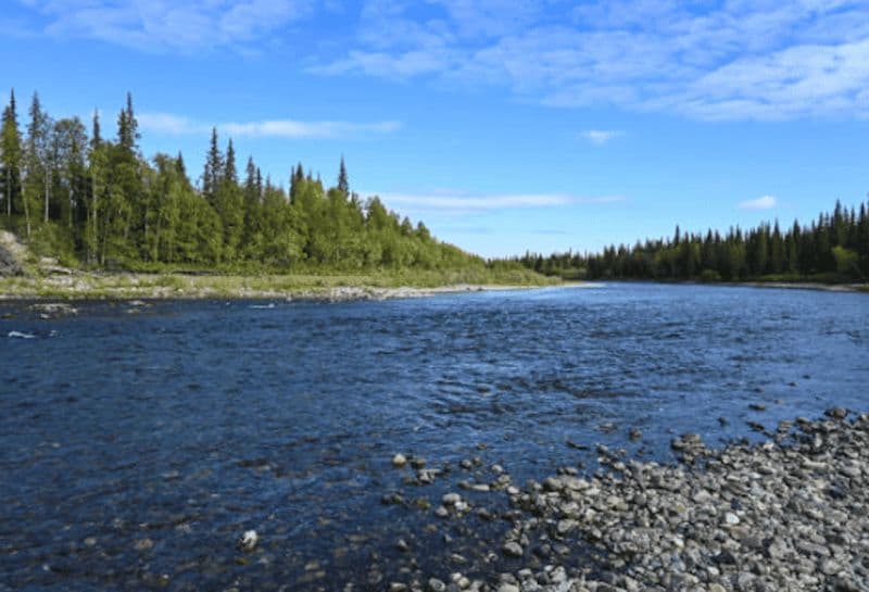 Billet Excursion de pêche en groupe d'une journée sur la rivière Snake