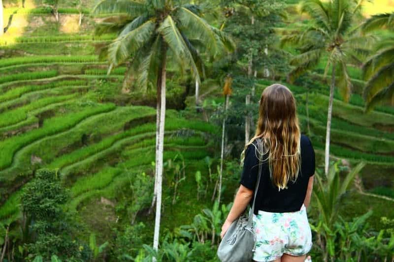 Billet Bali : Excursion d'une journée à Ubud (rizières en terrasses, temples et volcan)