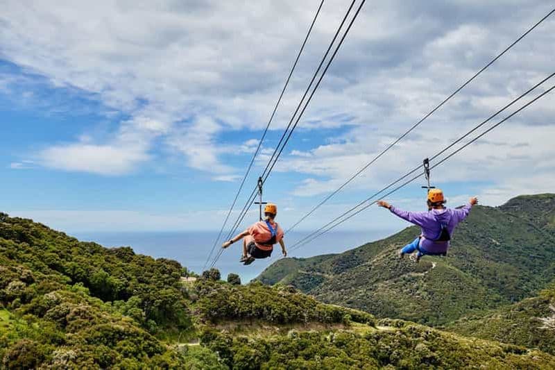 Billet Kaikōura : Zipline et aventure dans la forêt indigène