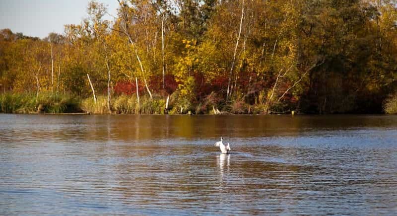 Billet Aalsmeer : Croisière sur le lac en péniche hollandaise traditionnelle
