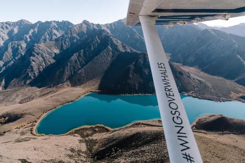 Billet Kaikoura : Observation des baleines en vol prolongé et excursion dans les montagnes