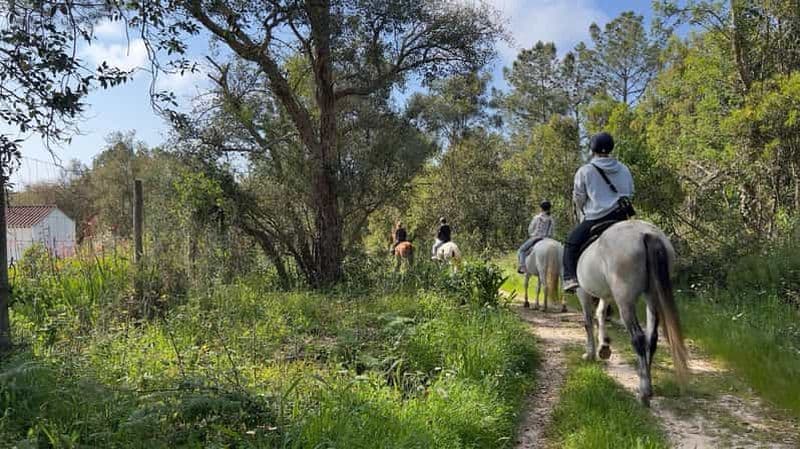 Billet Algarve : balade au coucher du soleil à Aljezur
