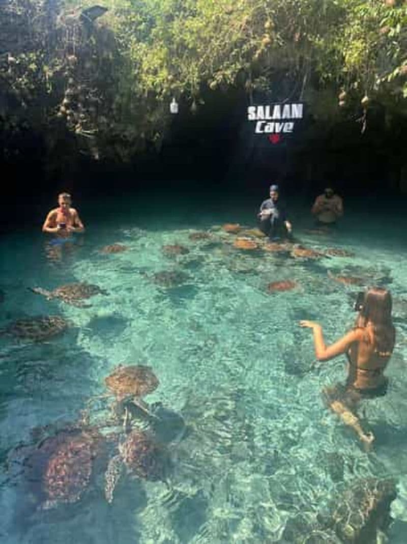 Billet Zanzibar : nagez avec les tortues de mer et nourrissez-les à la grotte de Salaam. Un souvenir inoubliable.