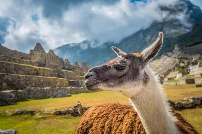 Billet Cusco : Visite du Machu Picchu avec billets