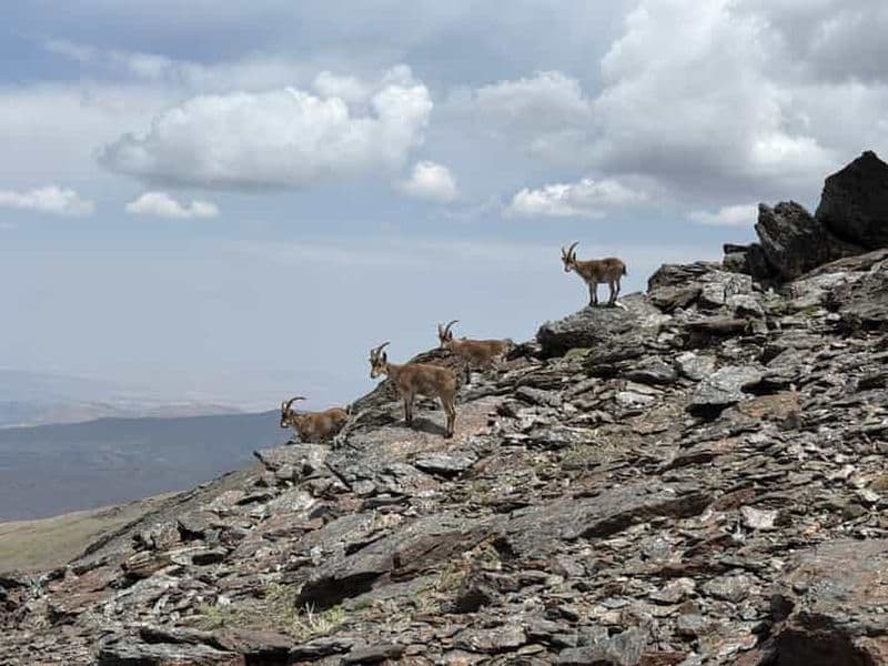 Billet Depuis Grenade : randonnée dans la haute Sierra Nevada