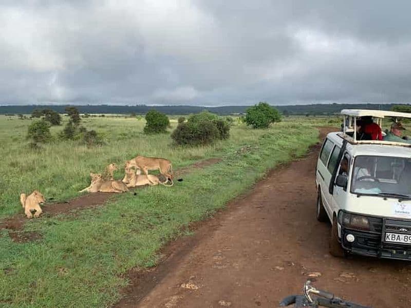 Billet Nairobi : safari tôt le matin ou en après-midi dans le parc national