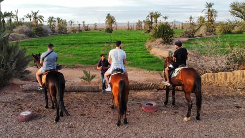 Billet Marrakech : Visite privée à cheval dans la palmeraie avec thé