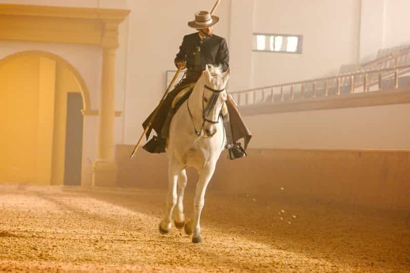 Billet Jerez de la Frontera : la danse des chevaux andalous