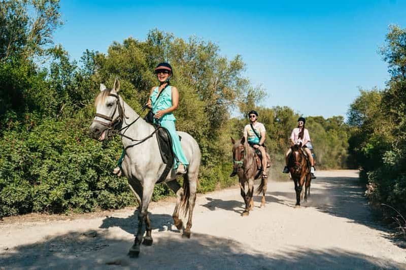 Billet Majorque : Excursion à cheval et dégustation de vins
