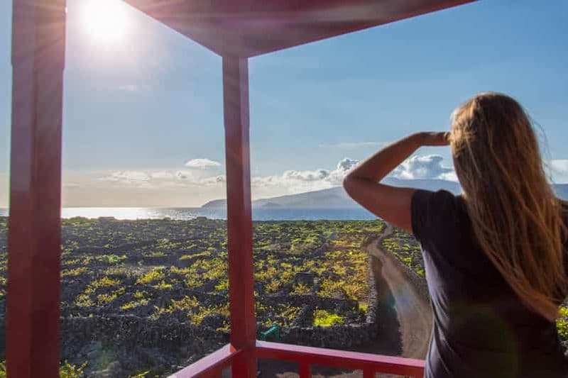 Billet Île de Pico : visite des vignobles et dégustation