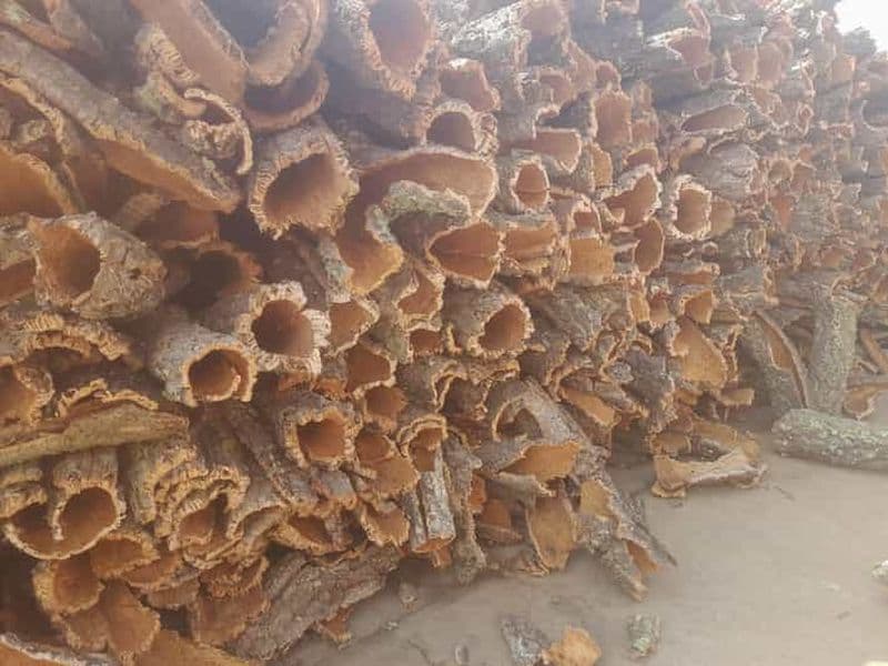 Billet Profitez de l'expérience Corck et visitez la ville de Tavira