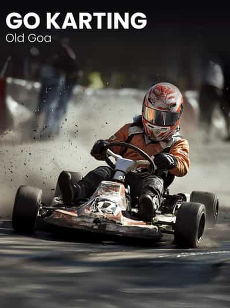 Billet Goa : Karting
