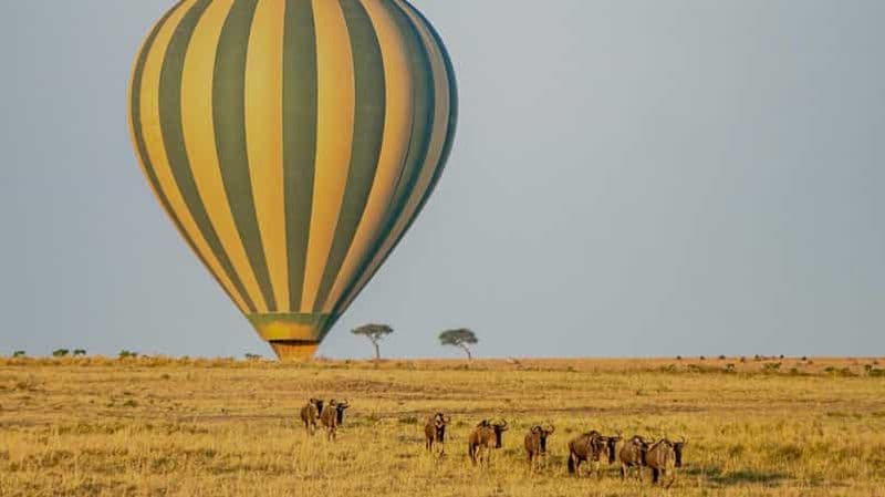 Billet 3 jours de camping dans le Masai Mara combinés à un vol en montgolfière