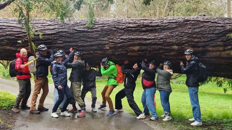 Billet Vancouver : Visite de la ville à vélo | Surclassement pour vélo électrique disponible | 4 heures