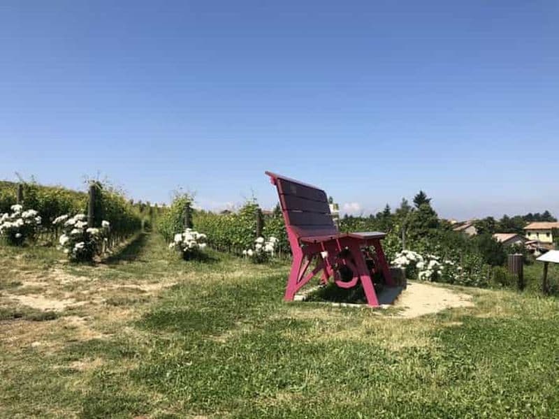 Billet Costigliole d'Asti : Visite guidée à pied avec dégustation de vins