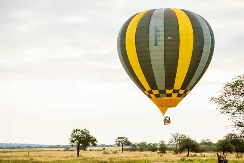 Billet Safari de 3 jours au Serengeti et au Ngorongoro + expérience en montgolfière
