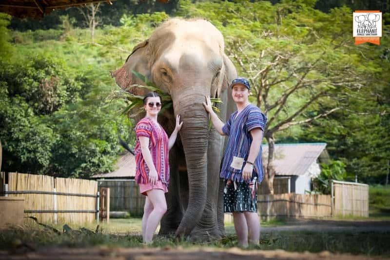 Billet Chiang Mai : Sanctuaire de la jungle des éléphants avec déjeuner et transfert