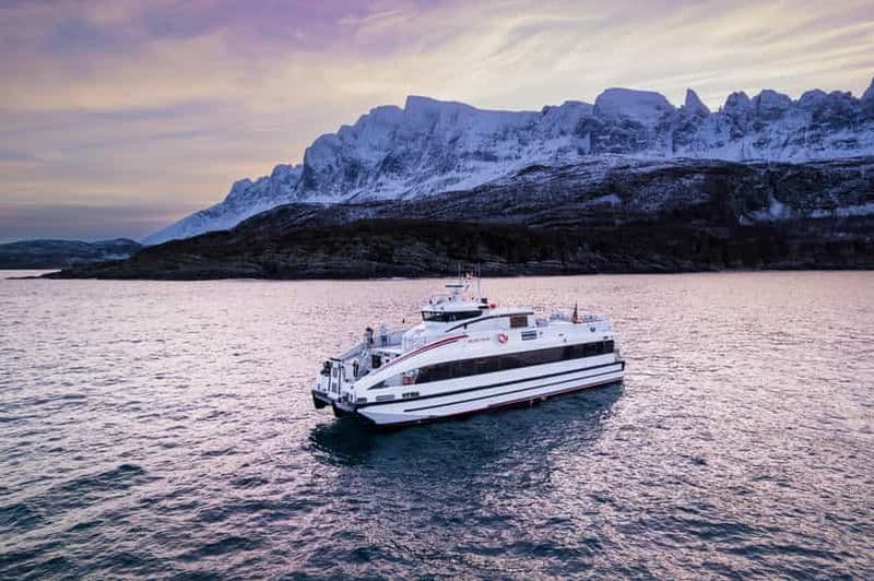 Billet Tromsø : Observation des baleines - catamaran rapide et confortable