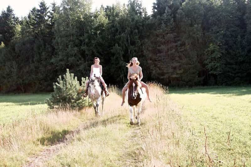 Billet Agadir : randonnée à cheval visite de la rivière des flamants roses avec dégustation de thé