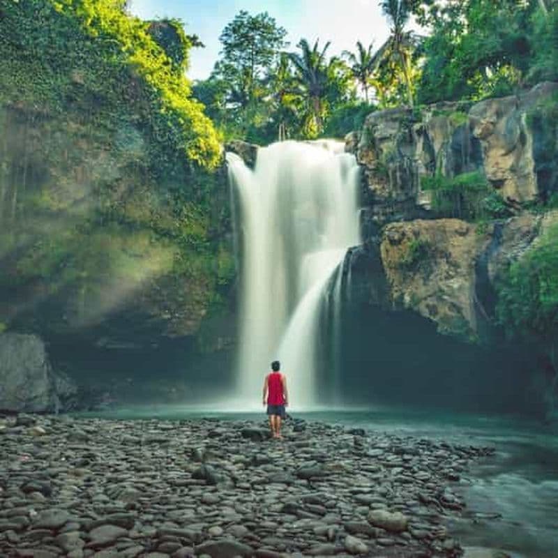 Billet Bali : Visite de la cascade de Tegenungan, de Tirta Empul et de Tegalalang