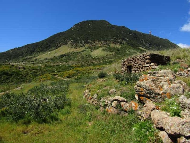 Billet Pantelleria : excursion botanique de saison