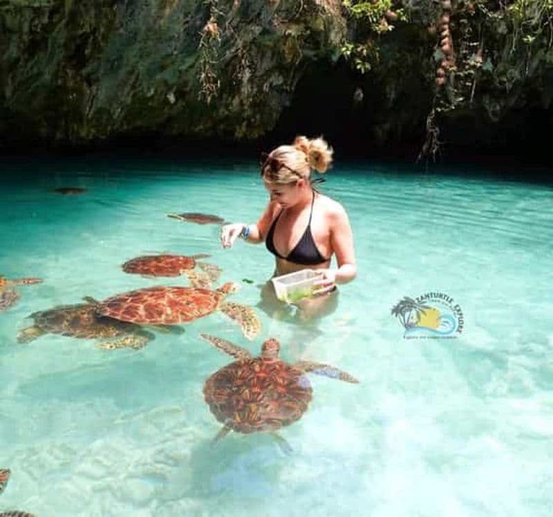 Billet Zanzibar : culture masaï, forêt de Jozani et tortues de la grotte de Salaam