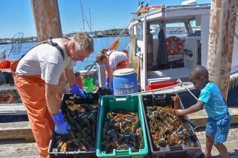 Billet Boston : Excursion d'une journée à Kennebunkport avec excursion facultative à la pêche au homard