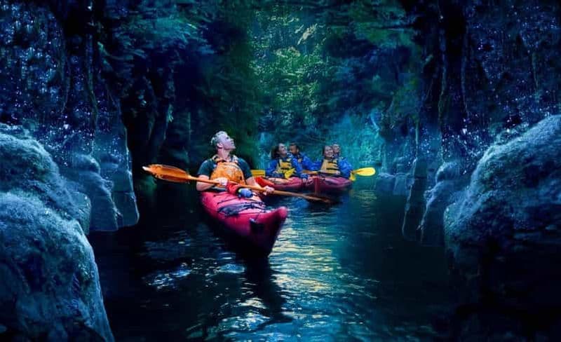 Billet Tauranga : excursion en soirée en kayak vers luisants