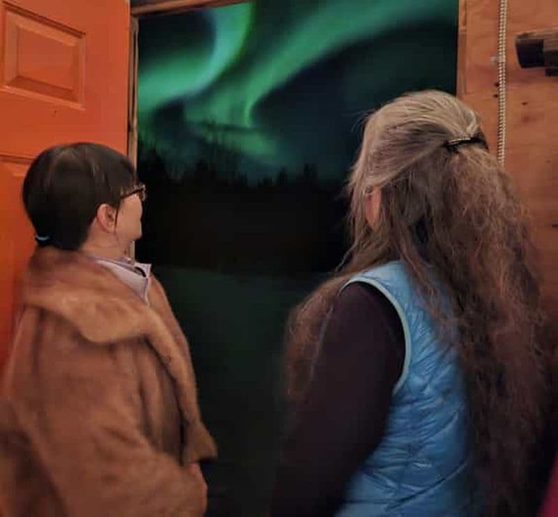 Billet Au départ de Yellowknife : Excursion aux aurores boréales dans un chalet confortable