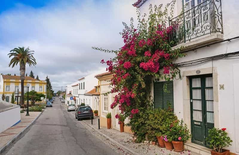 Billet Azeitão - Fromage, tuiles et vin