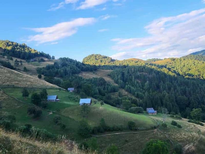 Billet Sibiu : Randonnée dans les monts Cindrel avec brunch traditionnel