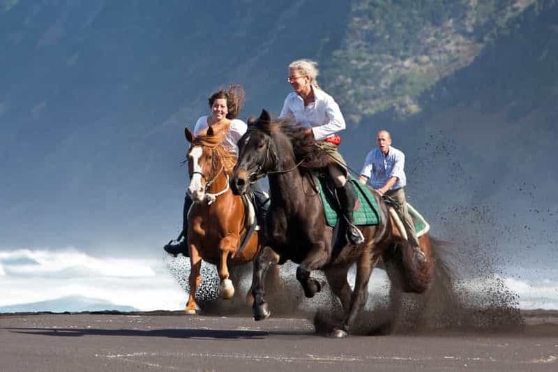 Billet Île de Faial : Randonnée à cheval (3 heures - cavaliers expérimentés)