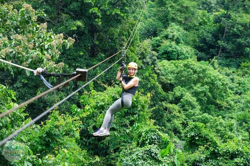 Billet Depuis Koh Samui : Zipline et Café Tree Bridge