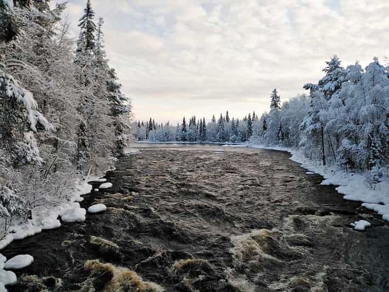 Billet Rovaniemi : Vaattunki Randonnée sur le sentier du cercle arctique