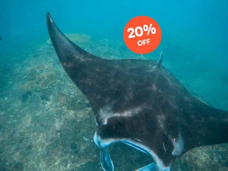 Billet Nusa Penida : Plongée avec tuba à 3 sites avec GoPro et excursion à l'ouest