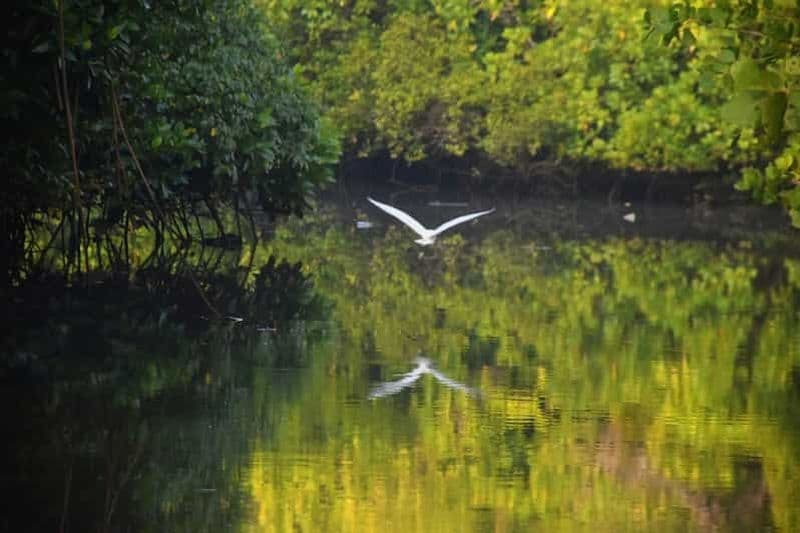 Billet Goa : Excursion en kayak dans les eaux profondes