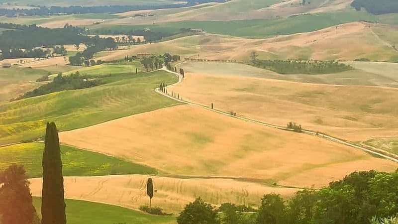 Billet Au départ de Florence : Visite privée de dégustation de vins dans la région du Val d'Orcia