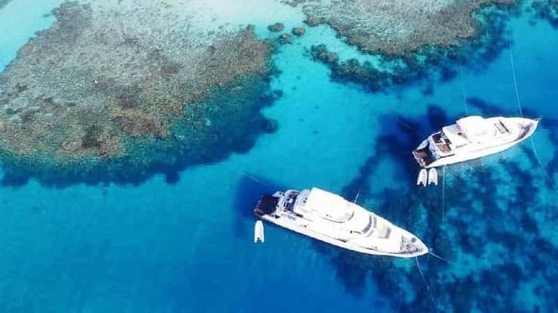 Billet Charm el-Cheikh : plongée avec tuba à White Island et Ras Mohamed