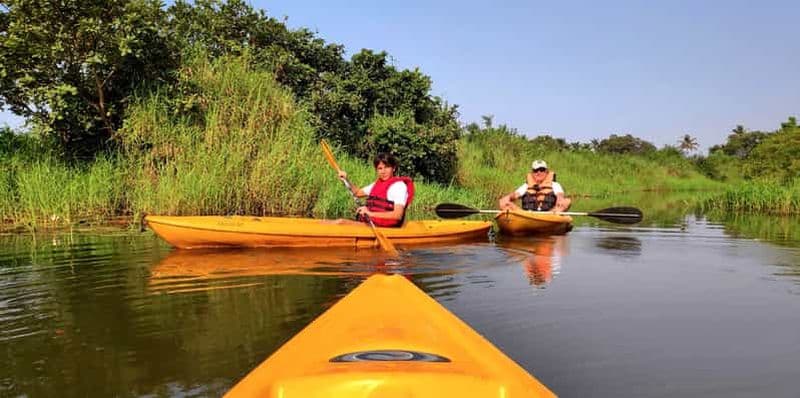 Billet Kayak à Goa : expérience en kayak dans les eaux calmes et la mangrove
