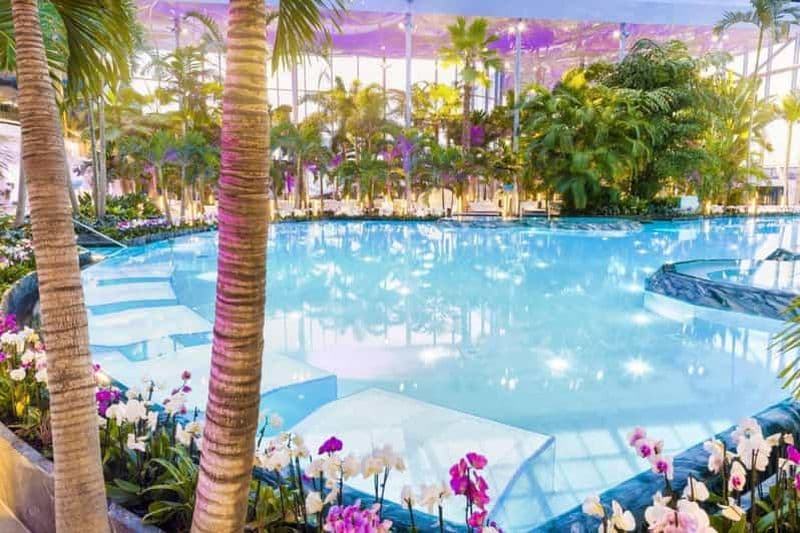 Billet Bucarest : transfert vers les thermes et accès d'une journée