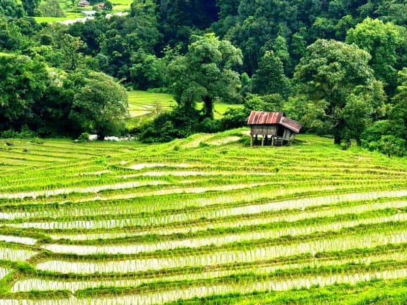 Billet Chiang Mai : Excursion à Doi Inthanon avec randonnée guidée à Pha Dok Siew