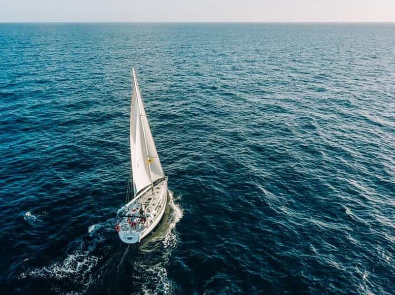 Billet Tenerife : excursion en voilier, observation des baleines, repas et plongée avec tuba
