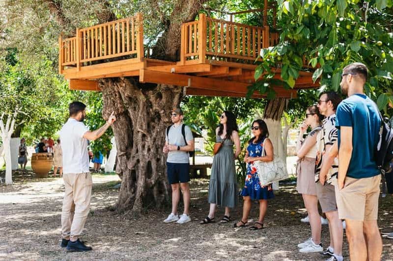 Billet Au départ de La Canée : dégustation de vin et d'huile d'olive avec collations