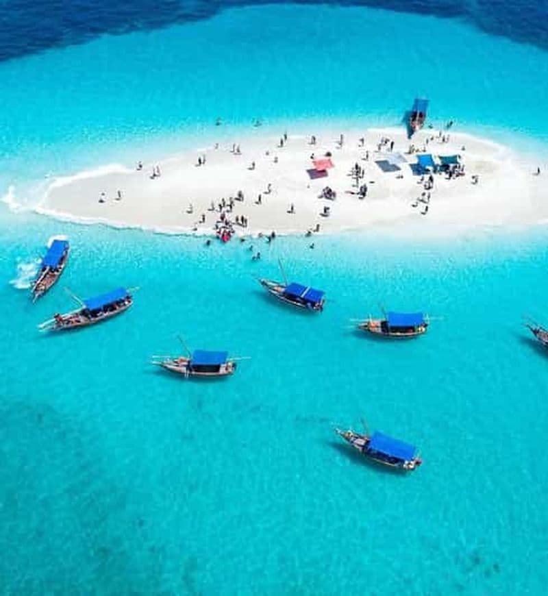 Billet Zanzibar : excursion Safari Blue Lagoon avec plongée avec tuba et déjeuner