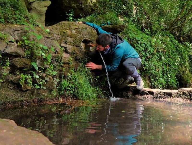 Billet Au départ de Rome : Circuit de randonnée sur la Via Sacra Romana et les Lacs avec Pasta