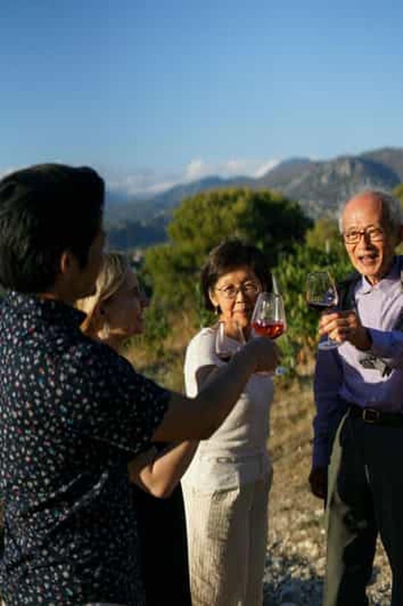 Billet Nice : Visite des vignobles avec dégustation de vin