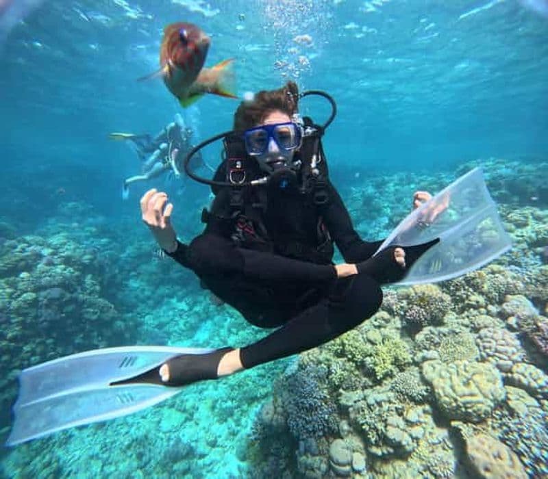 Billet Initiation à la plongée pour débutants et découverte des fonds marins de la mer Rouge